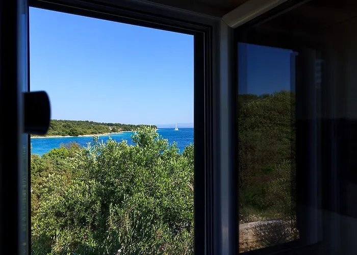 Renata * 特罗吉尔