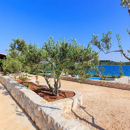 Renata Τρογκίρ